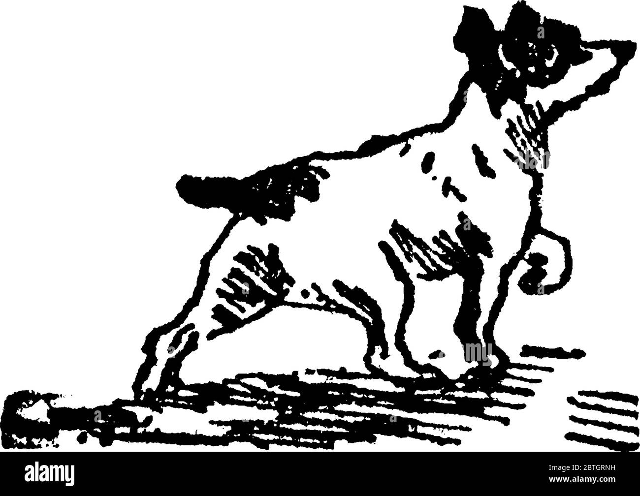Représentation typique d'un chien qui traverse les rues et qui s'étourne de quelque chose. Les chiens sont loyaux et sont considérés comme le meilleur ami de l'homme, vint Illustration de Vecteur