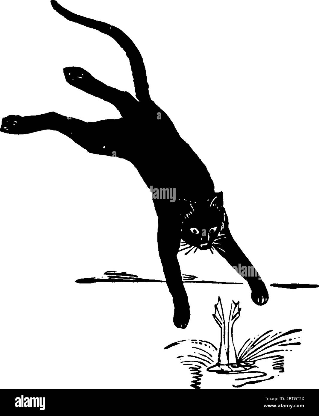 Un chat à fourrure noire avec des whiskers distincts et une longue queue courbée, jouant avec une grenouille, dessin de ligne vintage ou illustration de gravure. Illustration de Vecteur