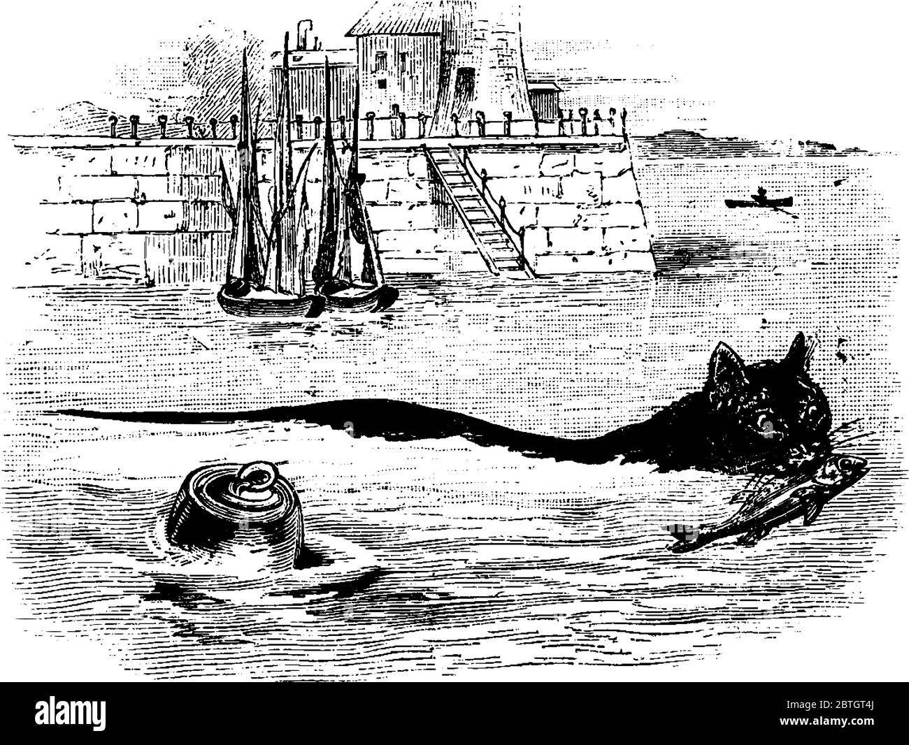 Un chat noir avec des whiskers distincts, pêche dans une rivière, dessin de ligne vintage ou illustration de gravure Illustration de Vecteur