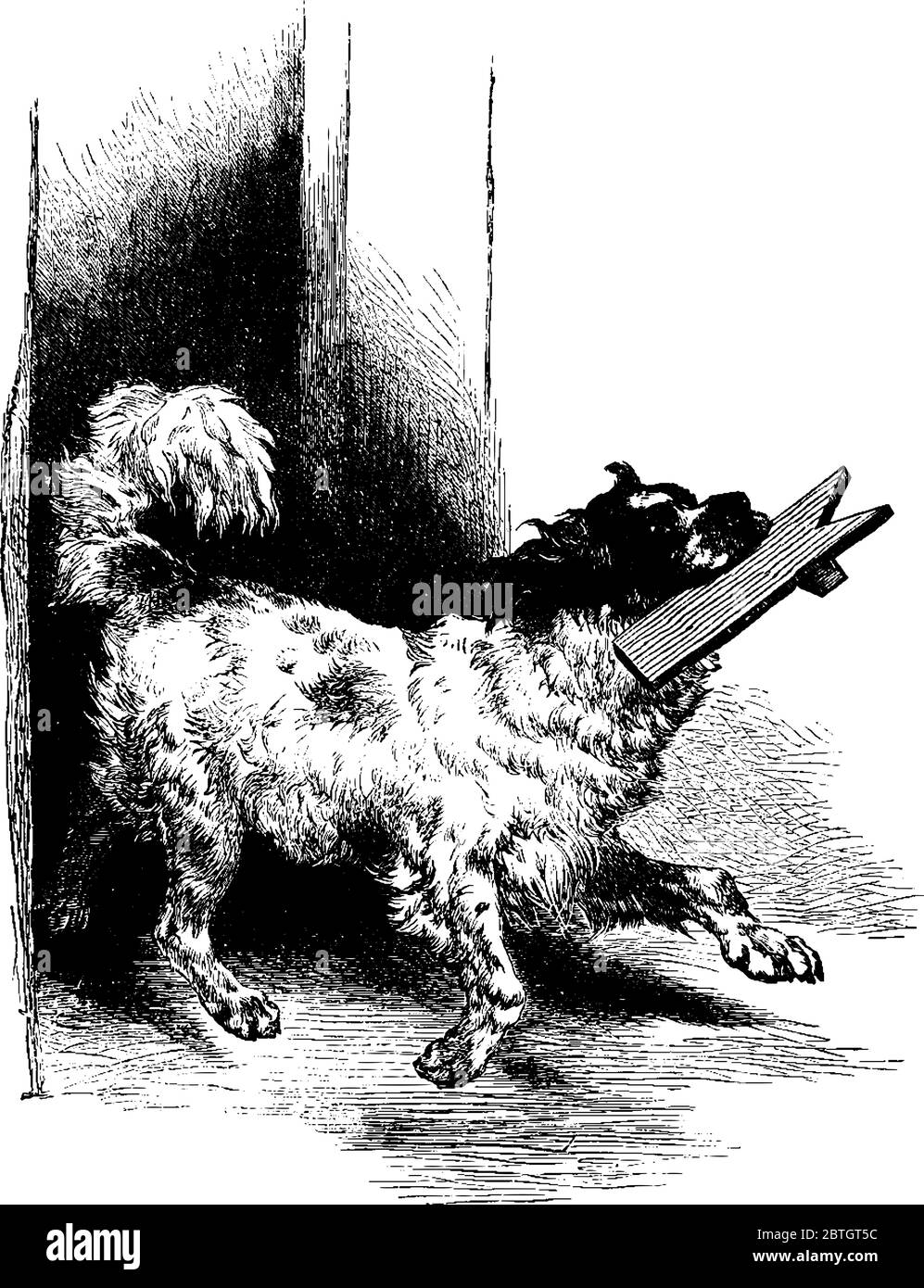 Un chien domestique courant avec un morceau de bois dans sa bouche, dessin de ligne vintage ou illustration de gravure. Illustration de Vecteur