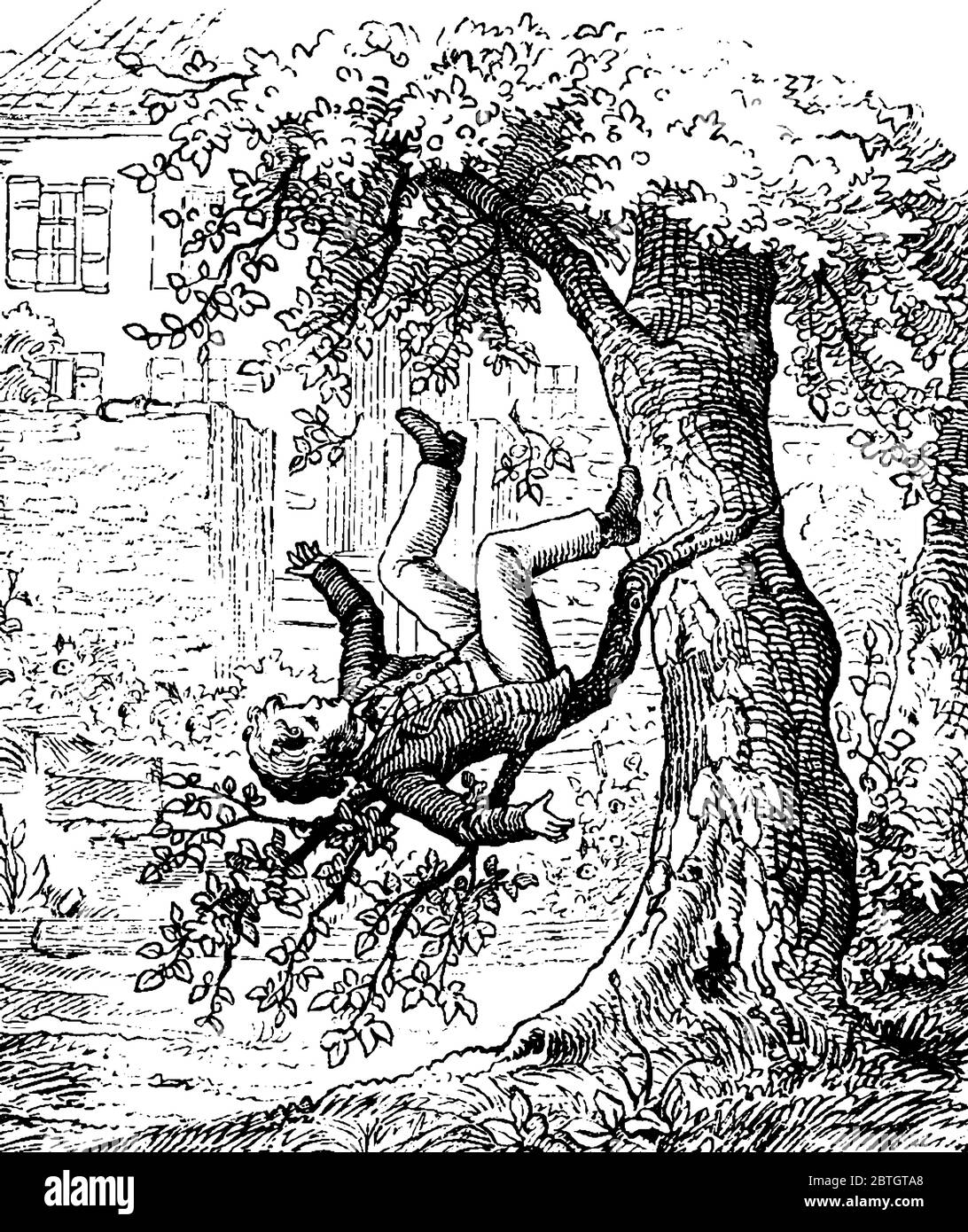 Un garçon qui tombe d'un arbre, dessin de ligne vintage ou illustration de gravure. Illustration de Vecteur