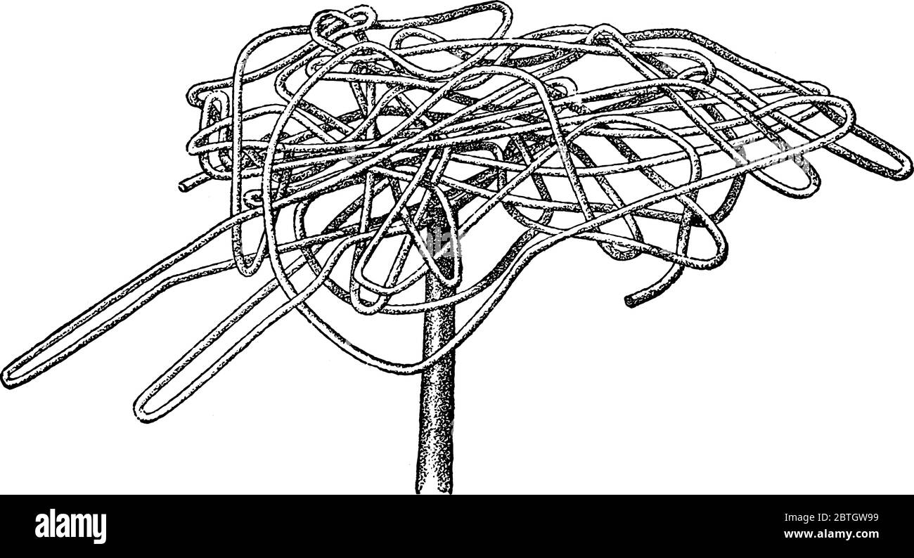 Chemin de tremblement de terre à l'intérieur de la terre, dessin de ligne vintage ou illustration de gravure. Illustration de Vecteur