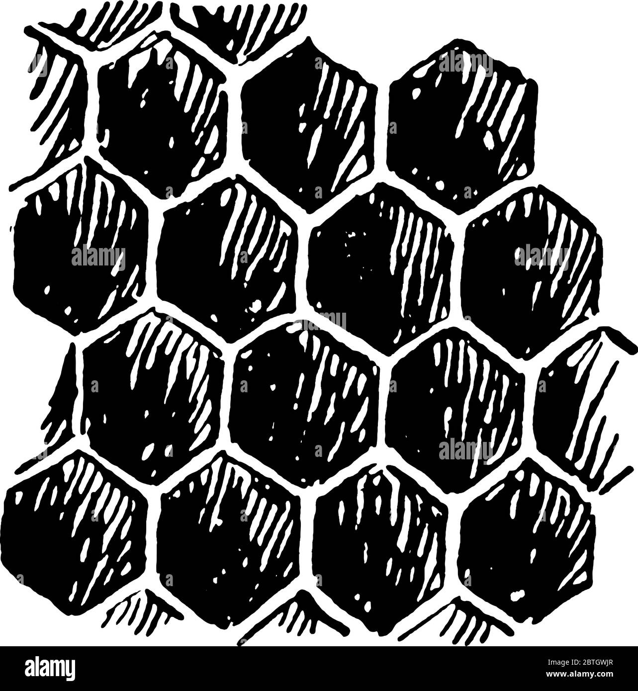 Illustration De La Grille En Métal Doré Avec Des Nids D'abeilles Arrondis  Banque D'Images et Photos Libres De Droits. Image 17967544