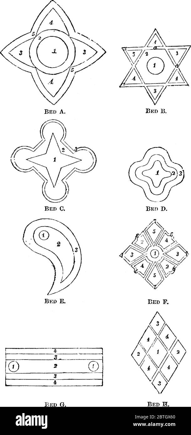Literie temporaire pour plantes de serre extérieures, dessin de ligne vintage ou illustration de gravure. Illustration de Vecteur