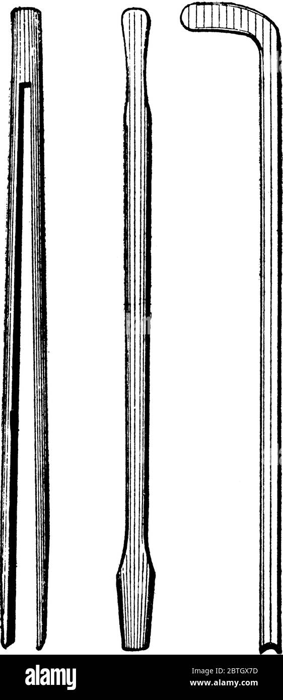 Dispositifs utilisés pour fixer des feuillets de patates douces et des boutures de vigne, aussi longtemps qu'un bâton de marche, qui se compose habituellement de (1) une seule latte, ou (2) bois Illustration de Vecteur