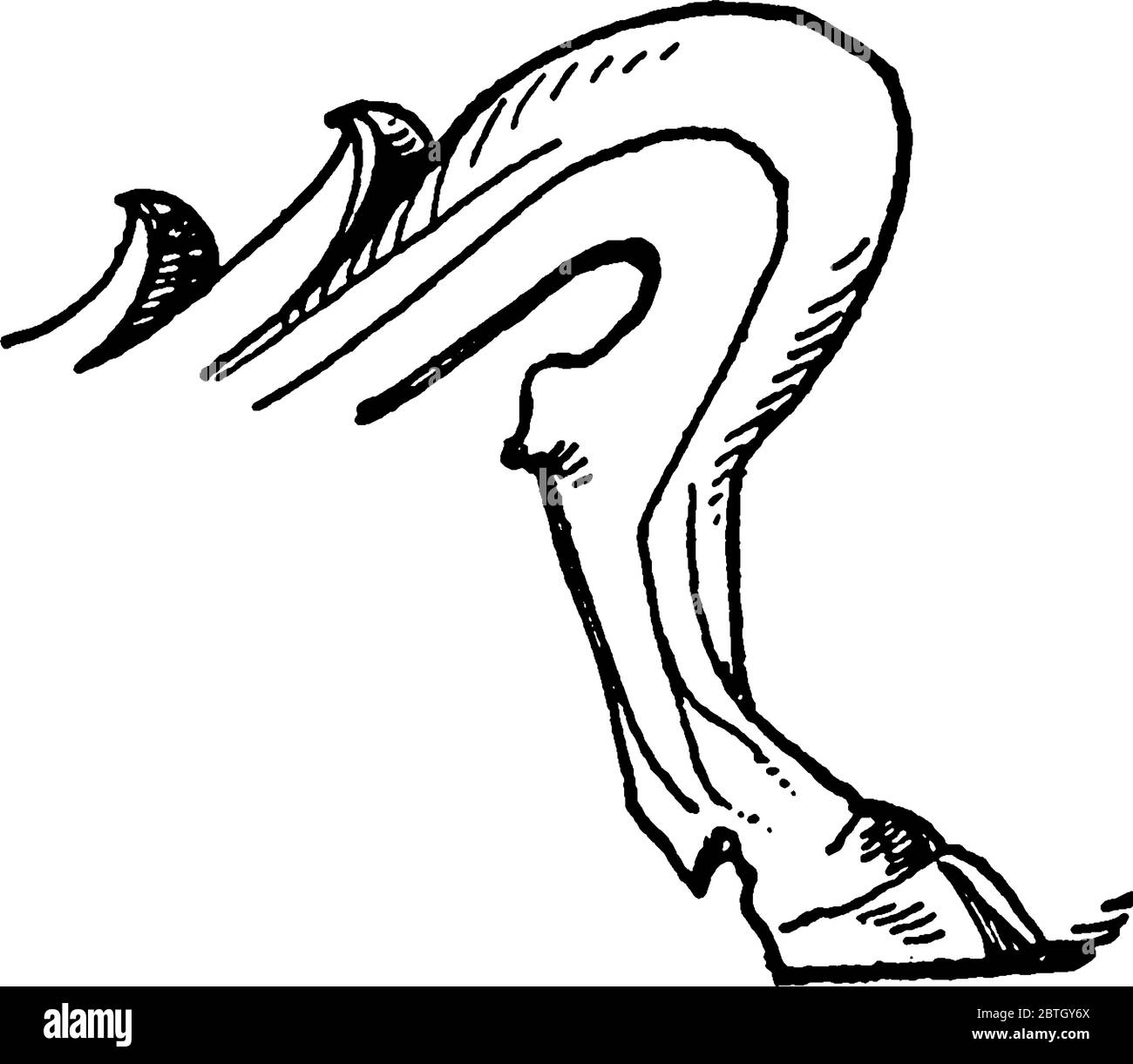 La jambe de base de candélabrum est un dessin antique de pied d'animal, dessin de ligne vintage ou illustration de gravure. Illustration de Vecteur