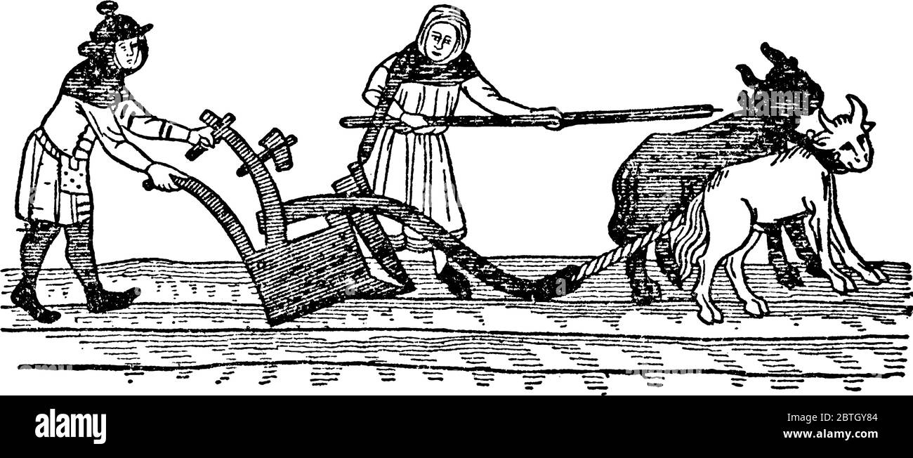 Deux hommes qui exploitent une charrue et, en réalisant une activité agricole, dessin de ligne vintage ou illustration de gravure. Illustration de Vecteur Deux hommes qui exploitent une charrue et, en réalisant une activité agricole, dessin de ligne vintage ou illustration de gravure. Illustration de Vecteur