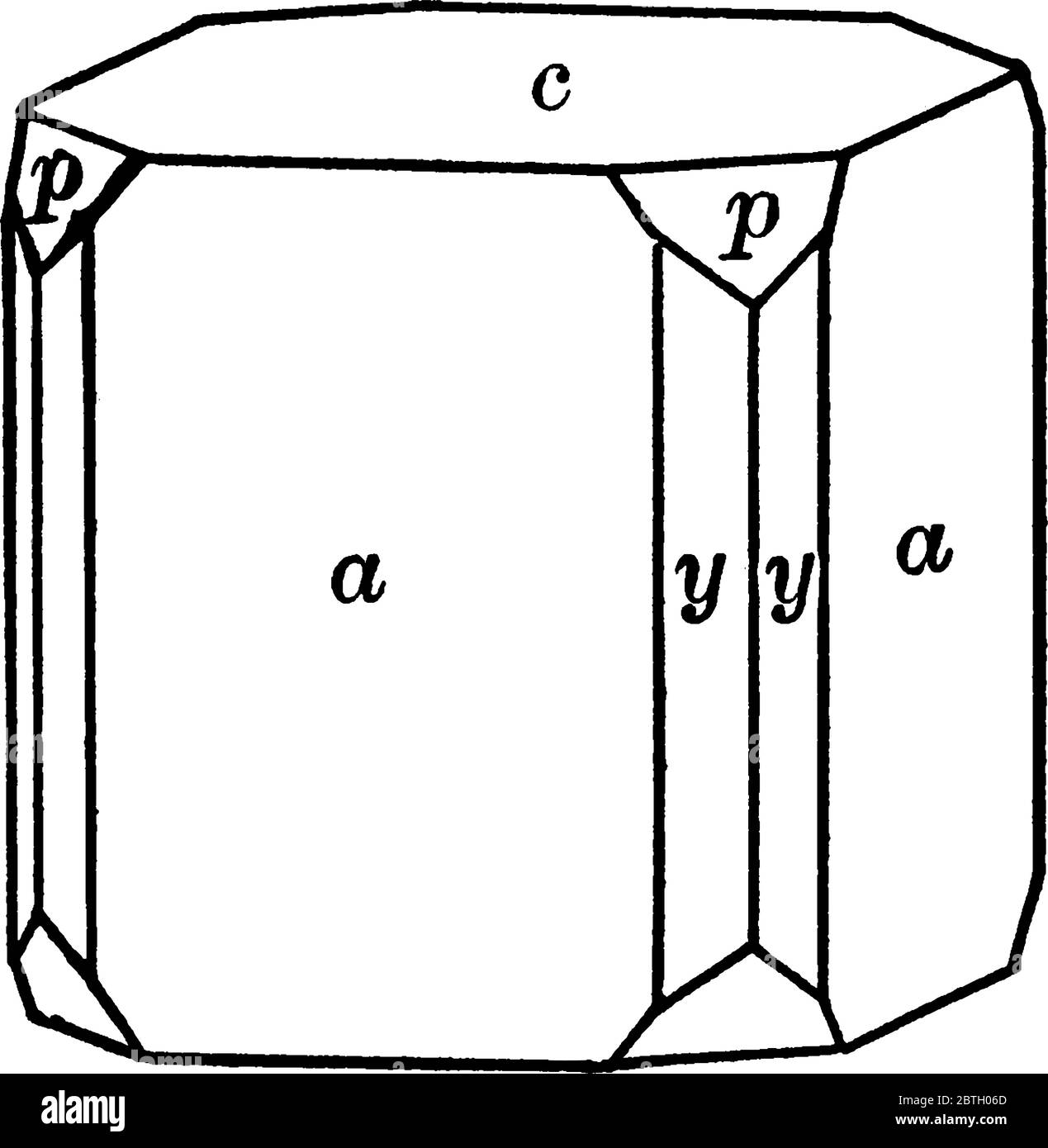 Une illustration Apophyllite, dessin de ligne vintage ou gravure. Illustration de Vecteur