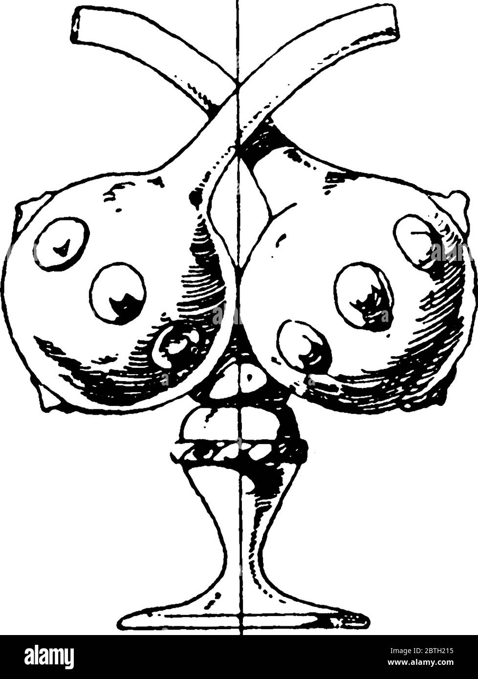 Ce cadre moderne est utilisé comme contenant pour le sel, le poivre, l'huile ou le vinaigre à une table à manger, un dessin de ligne vintage ou une illustration de gravure. Illustration de Vecteur