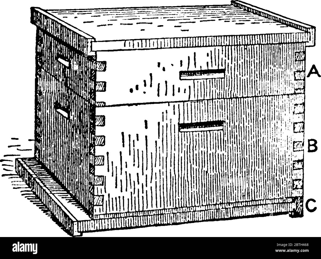 Langstroth Hive, n'a pas d'autre revêtement pour les cadres supérieurs mais un toit-board plat avec un peu d'espace entre le toit et les barres supérieures pour les abeilles à passer de fr Illustration de Vecteur
