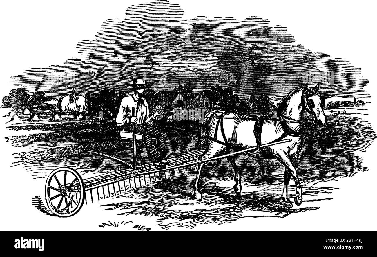 Le râteau à cheval est un outil utilisé dans l'industrie agricole pour couper l'herbe ou les récoltes, dessin de ligne vintage ou illustration de gravure. Illustration de Vecteur