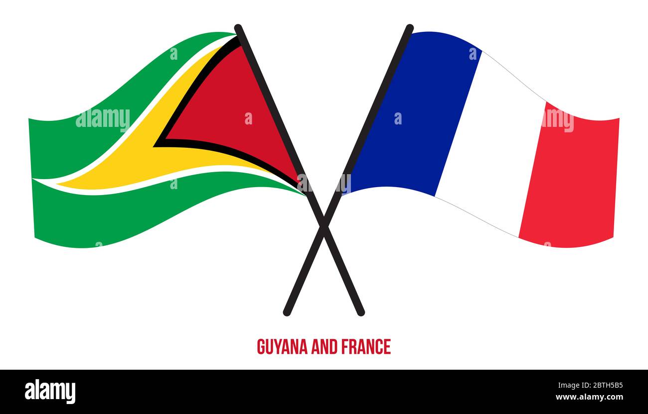 Drapeau de Guyane et de France croisé et agitant le style plat ...