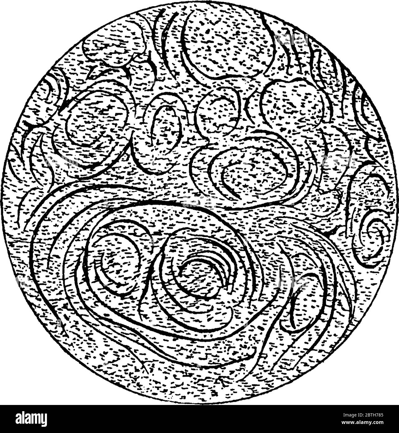 Section fine de la Perlite, sous le microscope, agrandissement de 30 diamètres, dessin de ligne vintage ou illustration de gravure. Illustration de Vecteur