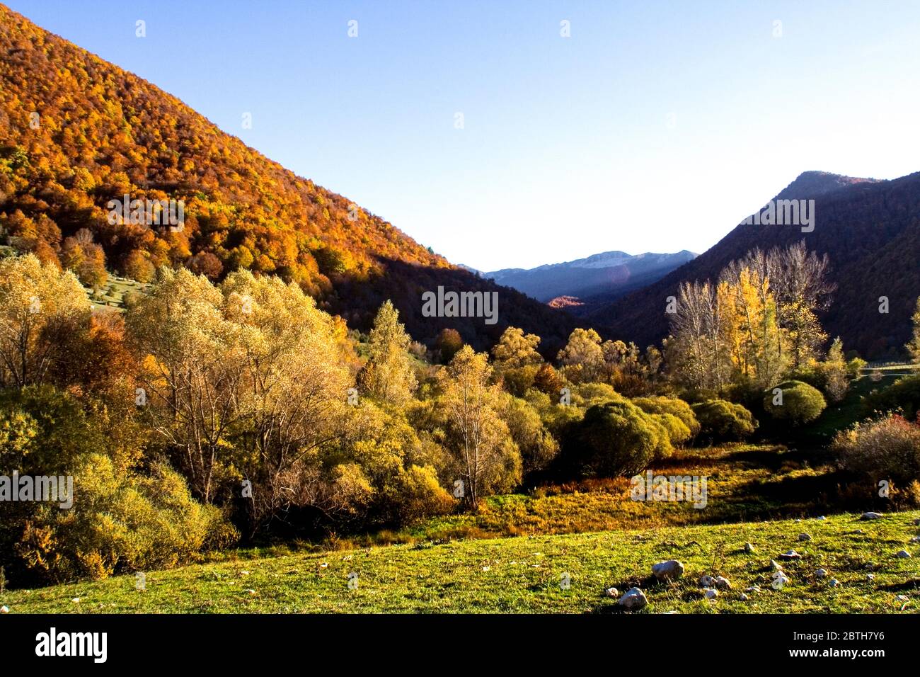 Italie Abruzzes - Parc National des Abruzzes - Mont Marsicani - Val Fondillo - automne Banque D'Images