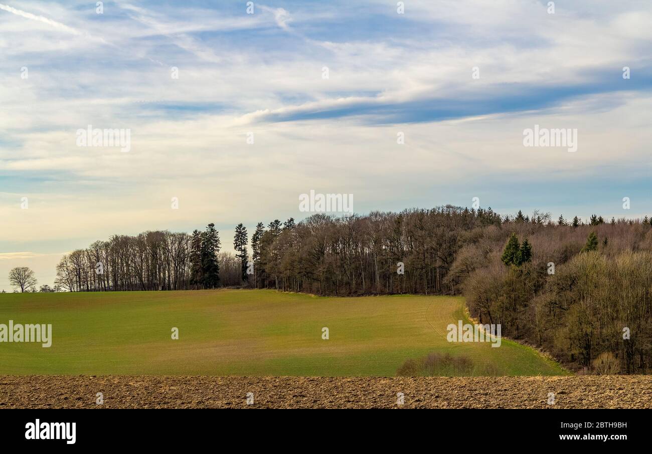 Paysage agricole au bord d'une forêt dans le sud de l'Allemagne au début du printemps Banque D'Images