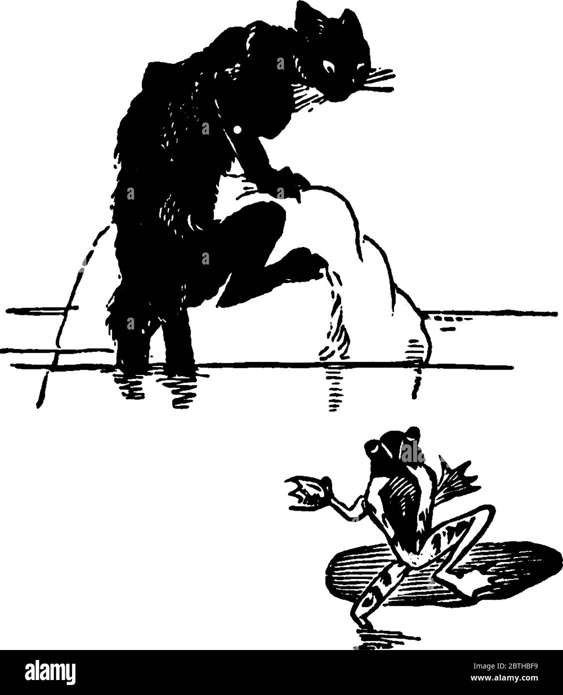 Un chat à fourrure noire avec des whiskers distincts et une longue queue courbée, jouant avec une grenouille, dessin de ligne vintage ou illustration de gravure. Illustration de Vecteur