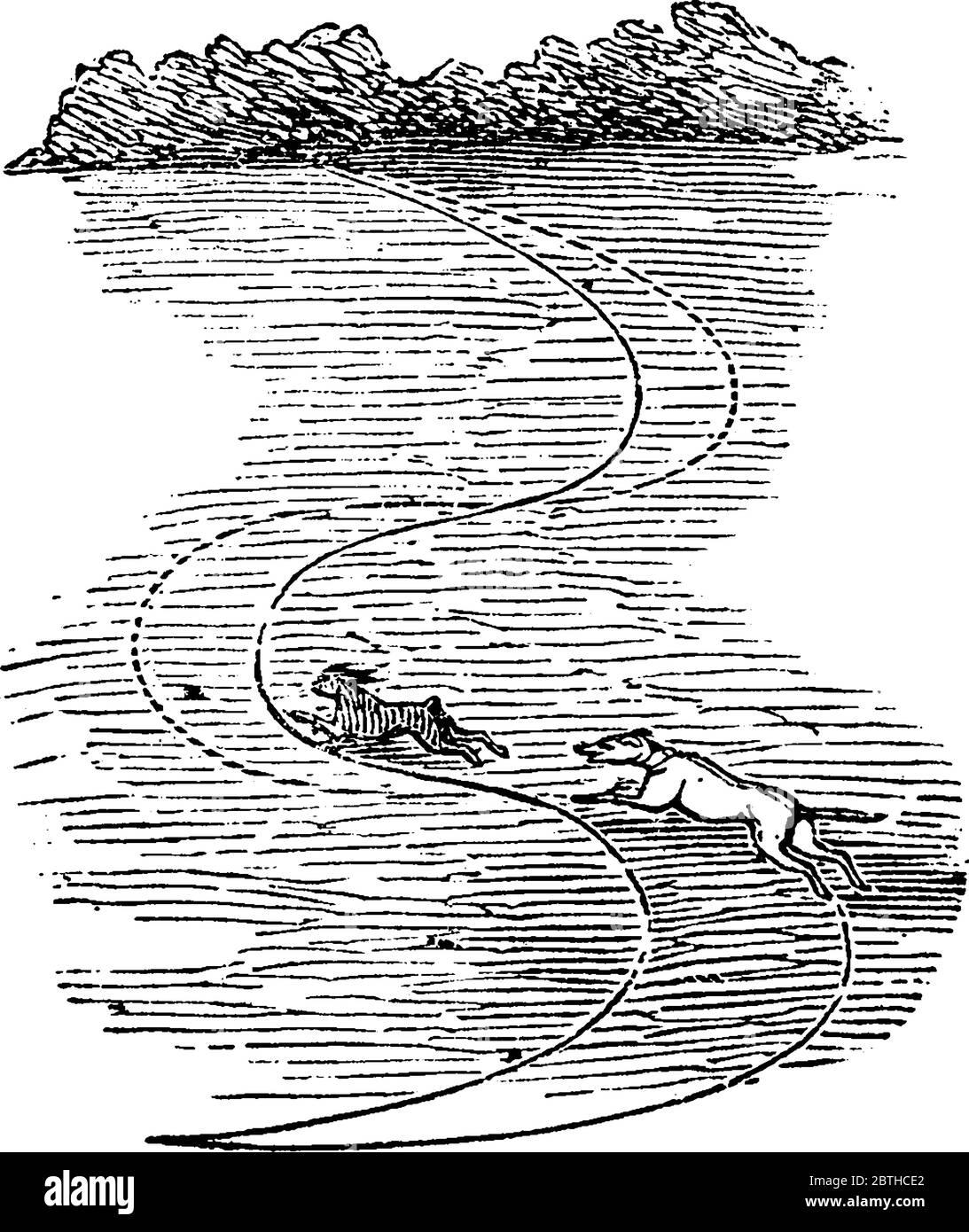 Un exemple d'inertie, un lièvre qui tente de s'échapper d'un chien, dans lequel la ligne continue montre le chemin du lièvre et la ligne pointillée de l'pa du chien Illustration de Vecteur