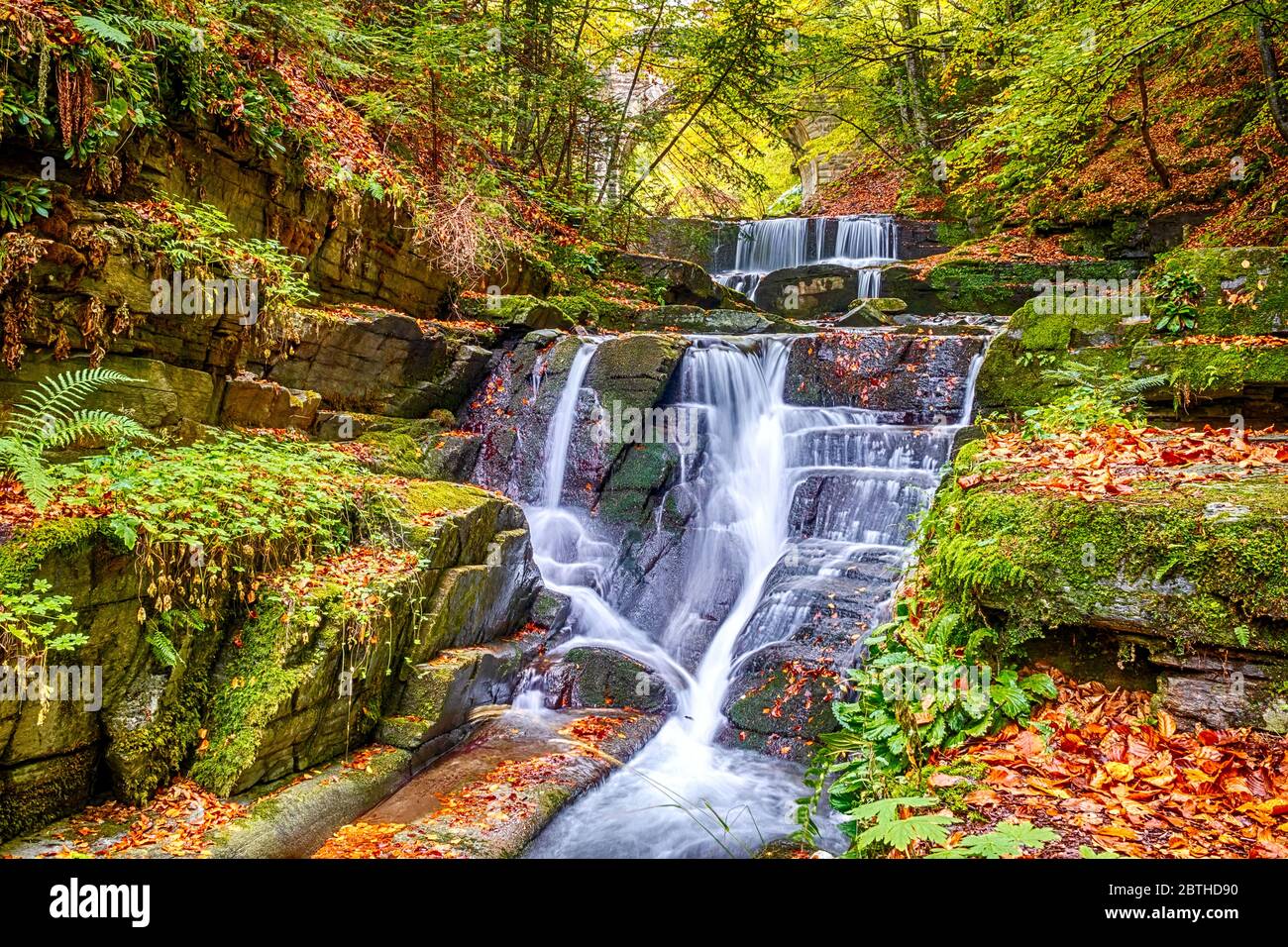 Jour d'automne dans la forêt ensoleillée. Petite rivière et plusieurs rapides naturels d'une cascade Banque D'Images