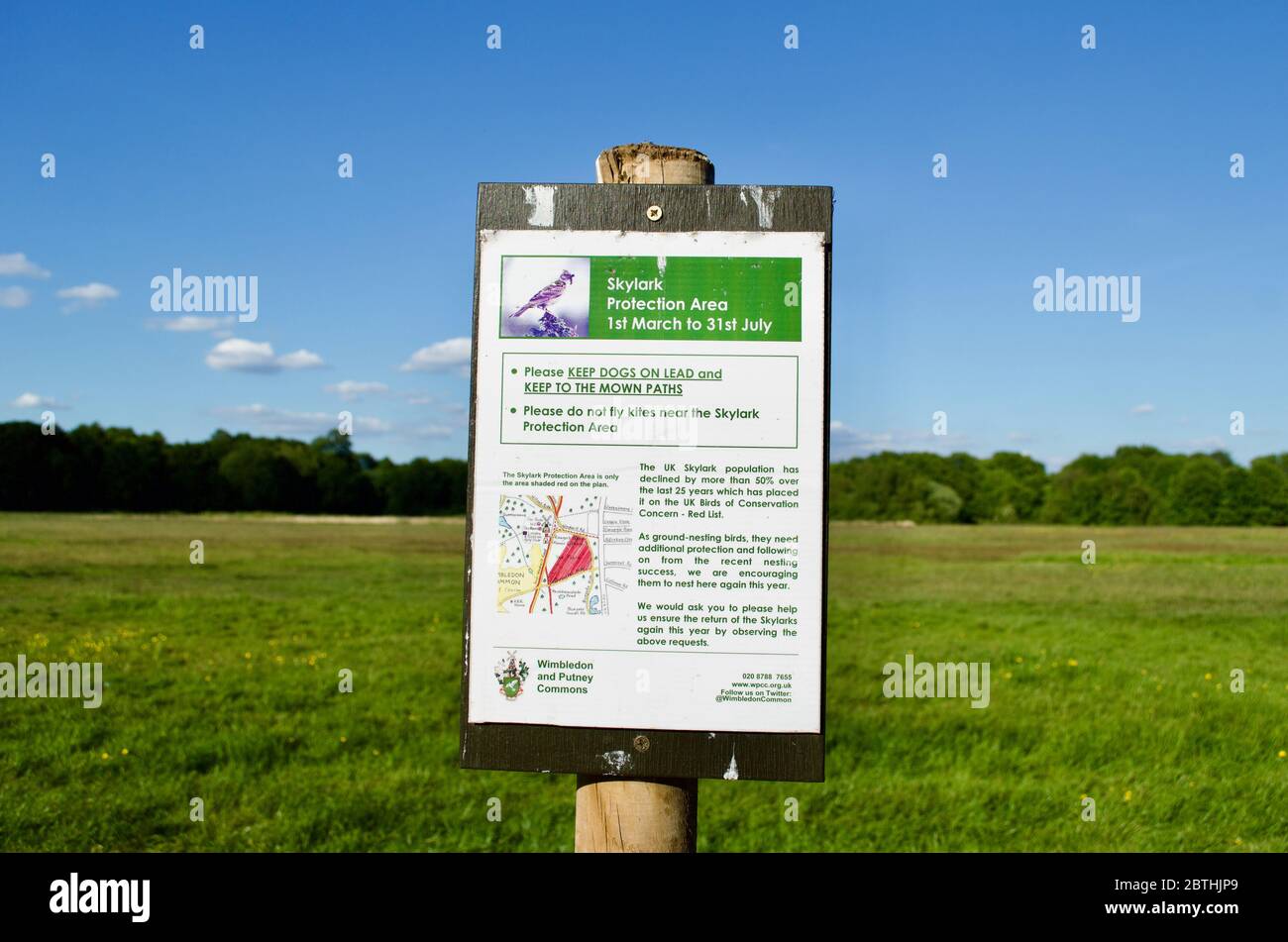 Un panneau de zone de protection skylark à Wimbledon Common, Londres, Royaume-Uni Banque D'Images