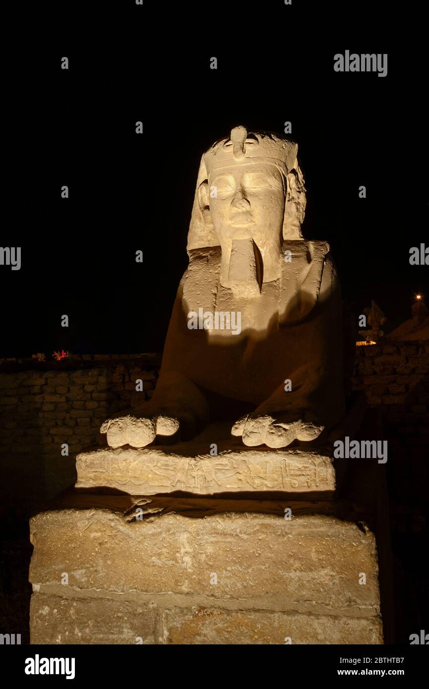 L'ancien sphinx de pierre égyptienne s'est illuminé la nuit au temple de Louxor Banque D'Images
