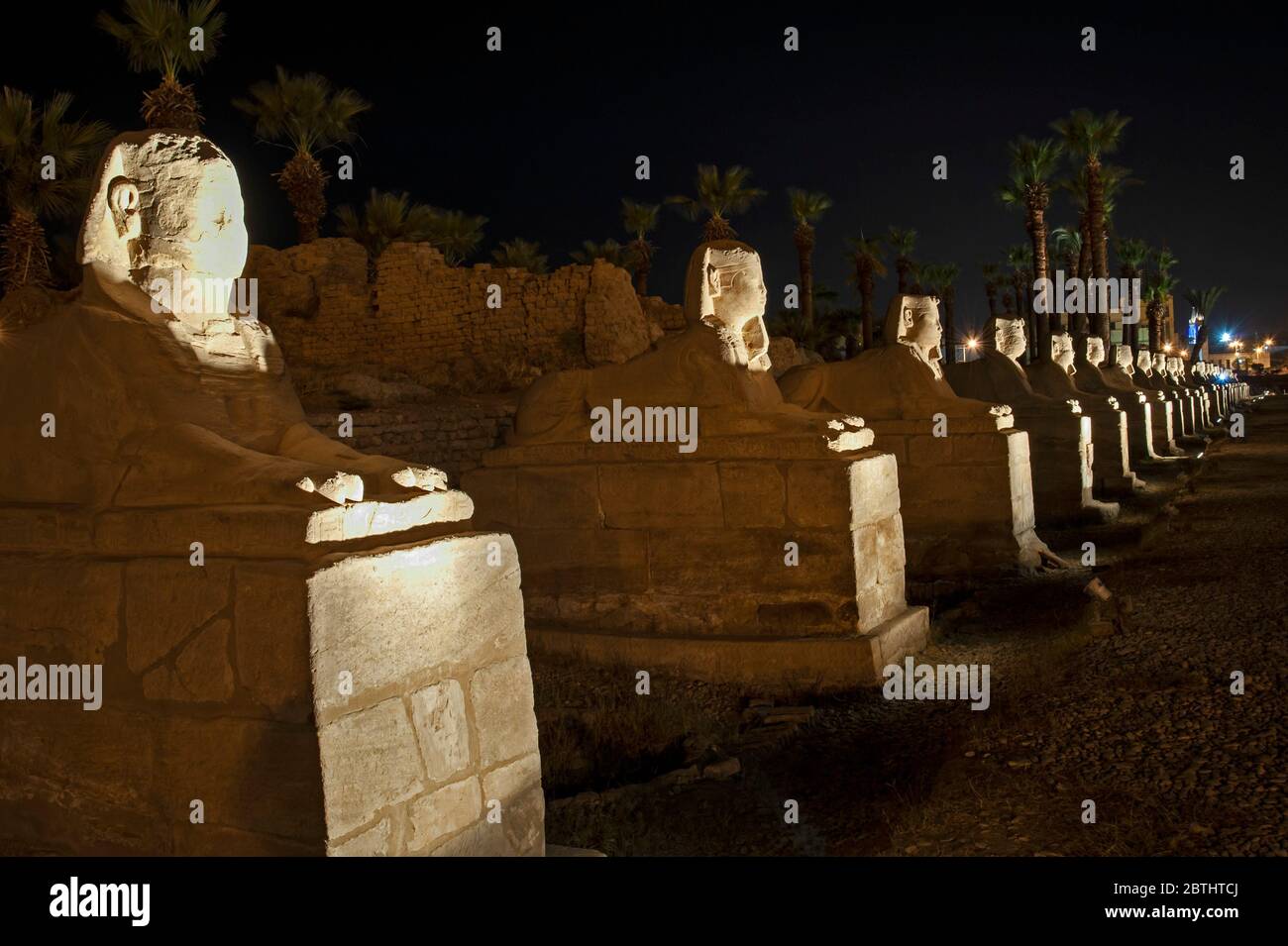 L'ancienne avenue égyptienne des sphinx de pierre s'est illuminée la nuit au temple de Louxor Banque D'Images