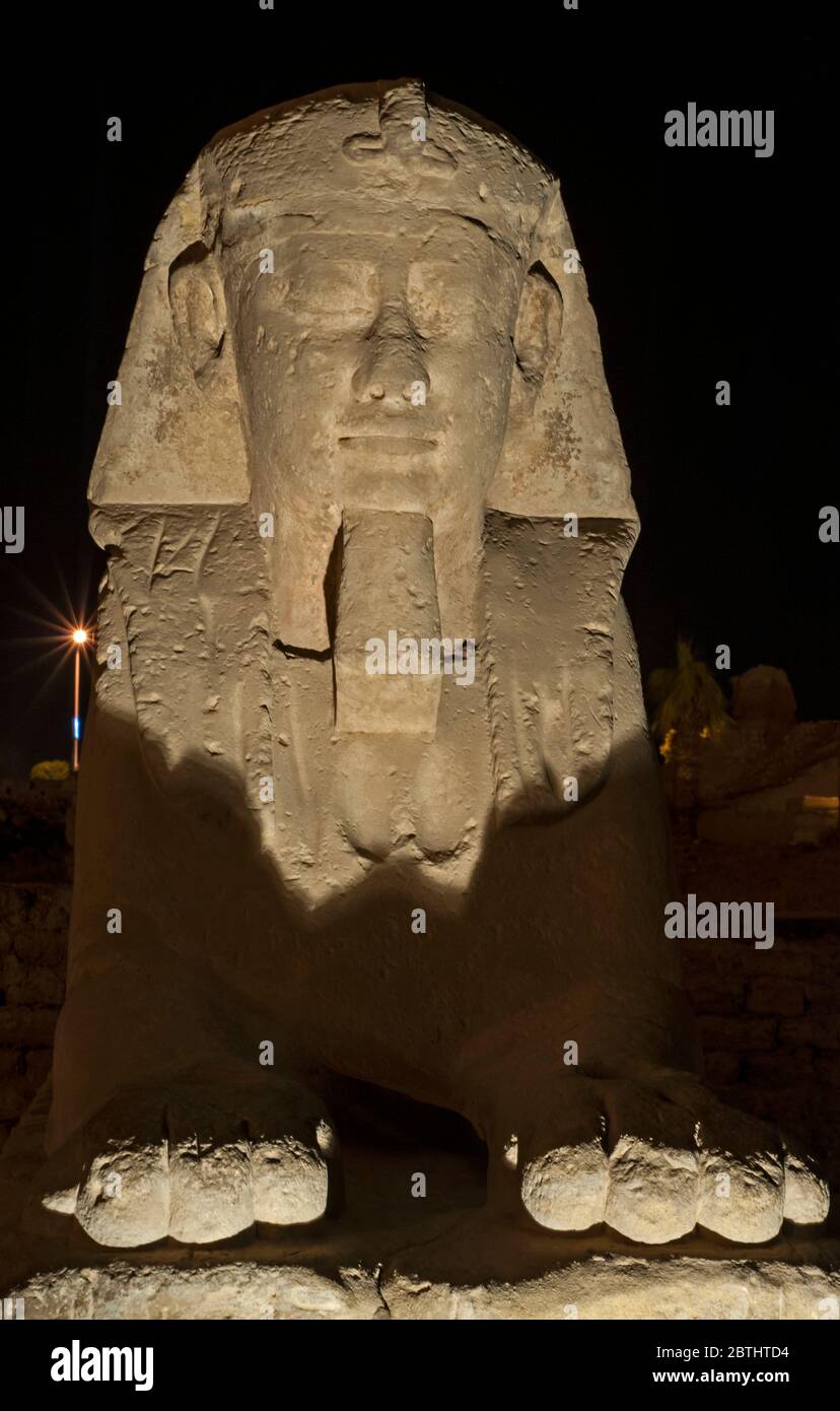 L'ancien sphinx de pierre égyptienne s'est illuminé la nuit au temple de Louxor Banque D'Images