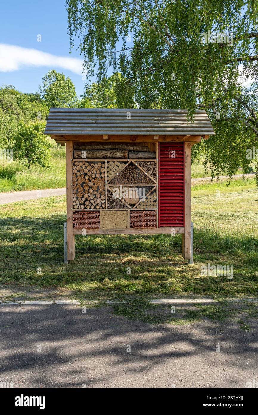 Hôtel d'insectes en bois, abri pour les insectes sauvages dans la réserve forestière Banque D'Images