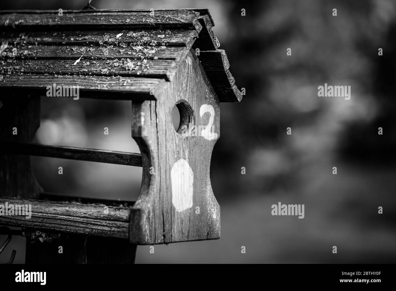 Photo d'un mangeoire à oiseaux debout sur un arbre fruitier dans un jardin Banque D'Images