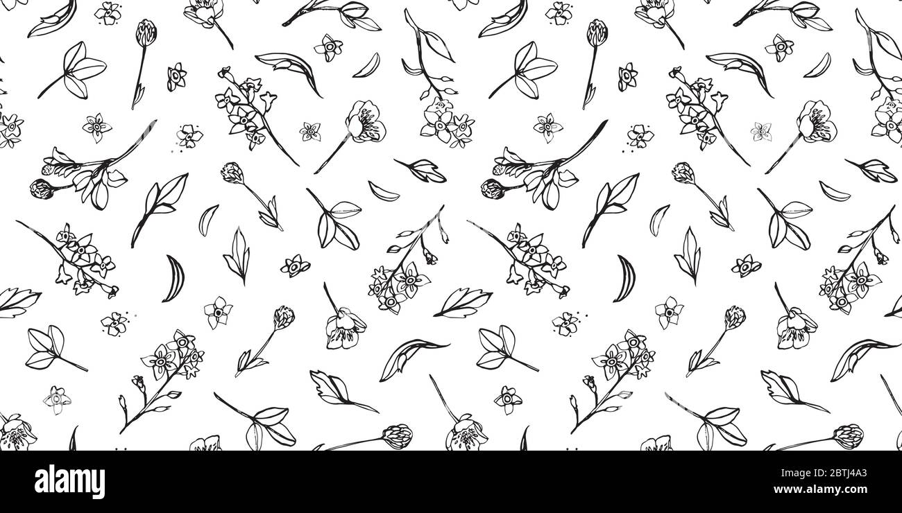 Motif de nature de fleurs sauvages de botanique vectoriel, petits fleurs dessinées à la main, style de caniche, design réaliste. Design moderne forme simple sur fond bleu. Illustration de Vecteur