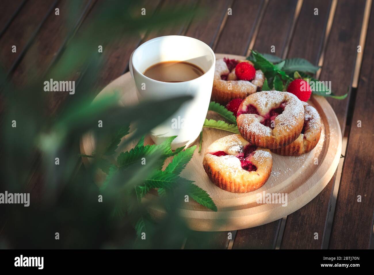 Petits gâteaux aux baies et une tasse de café sur une table de jardin sombre, feuilles de fleurs vertes en bokeh Banque D'Images