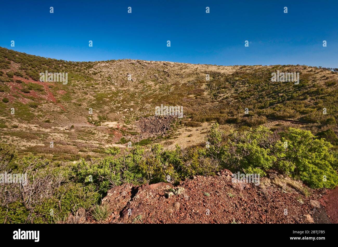 Intérieur du cratère, monument national du volcan Capulin, Nouveau-Mexique, États-Unis Banque D'Images