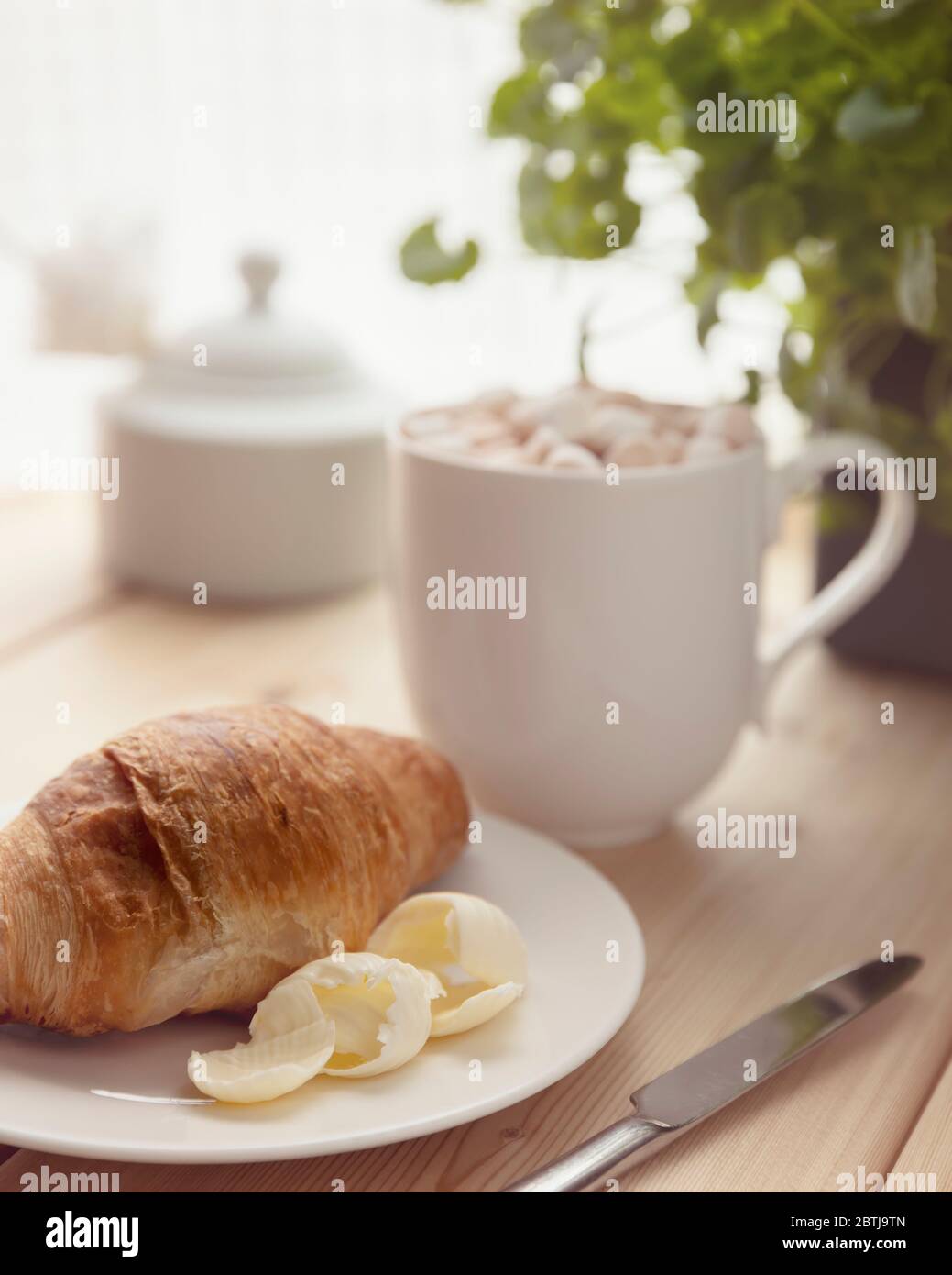 Croissant frais avec beurre sur une assiette blanche et chocolat chaud avec marshmallow fondu dans une tasse blanche sur une table en bois. Petit déjeuner à la maison. Matin rel Banque D'Images