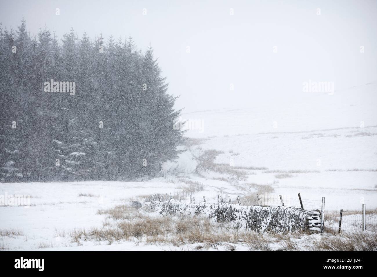 Scène enneigée dans le Lake District, Angleterre Banque D'Images