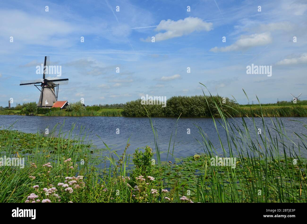 Kinderdijk est un village de la province néerlandaise du Sud de la Hollande, connu pour ses moulins à vent emblématiques du XVIIIe siècle. Banque D'Images