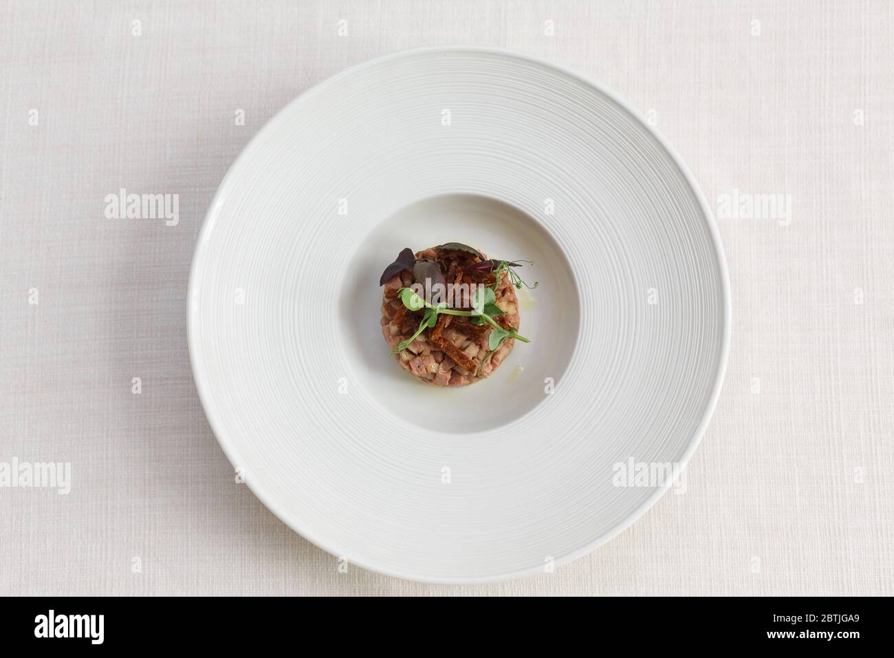 tartare de canard sur fond blanc Banque D'Images