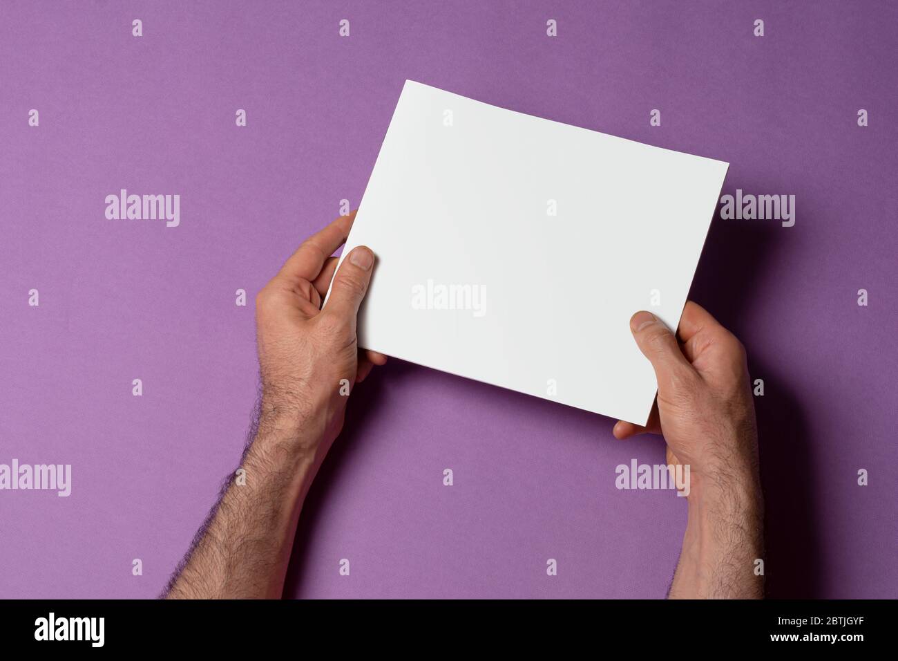 Mains de sexe masculin tenant un catalogue de proportion carrée avec couverture vierge sur fond violet, modèle de série maquette prêt pour votre chemin de sélection de conception inc Banque D'Images