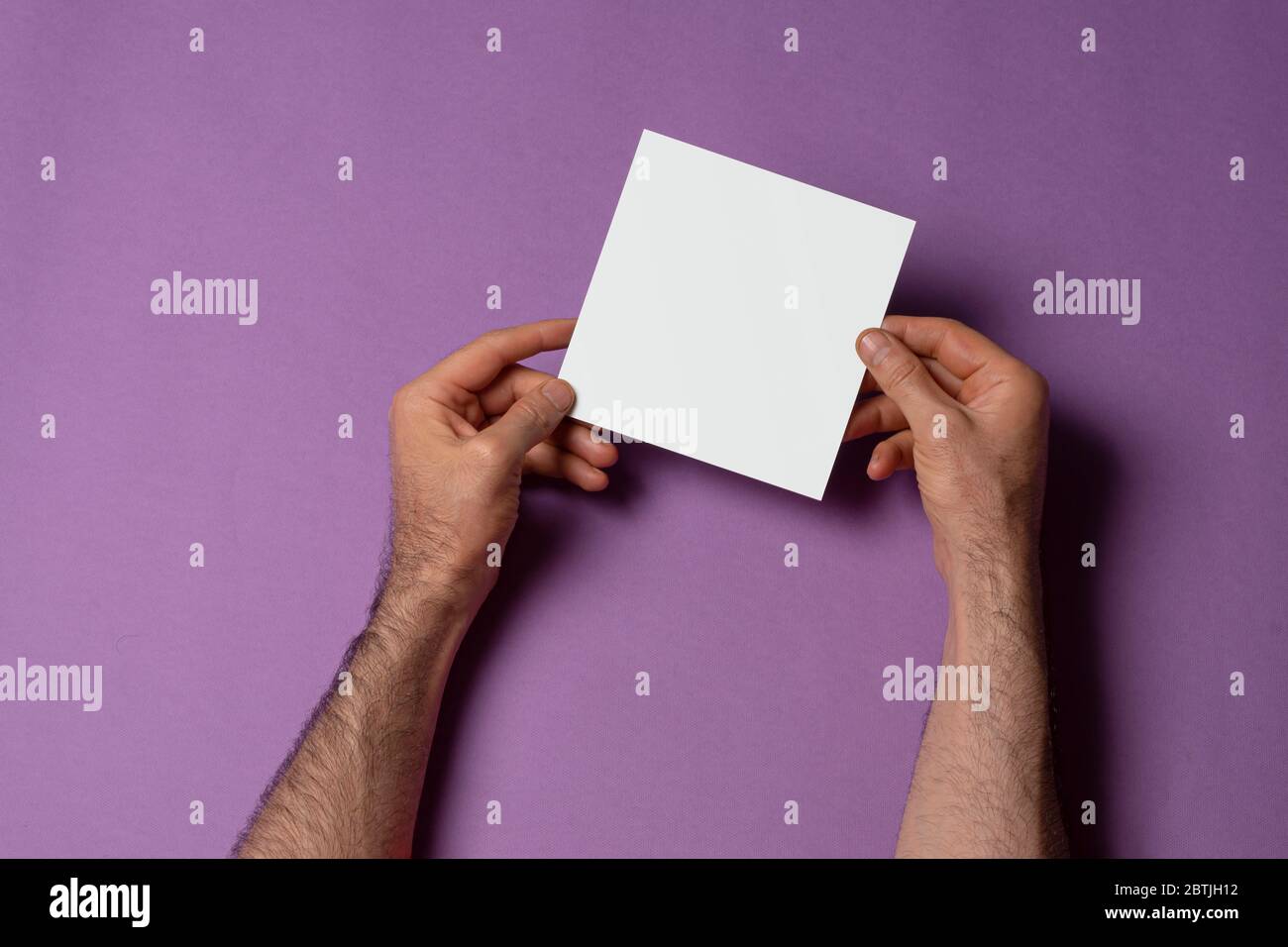Les mains de sexe masculin tiennent un catalogue de trois plis de taille carrée avec couverture vierge sur fond violet, modèle de série maquette prêt pour votre sélection Banque D'Images