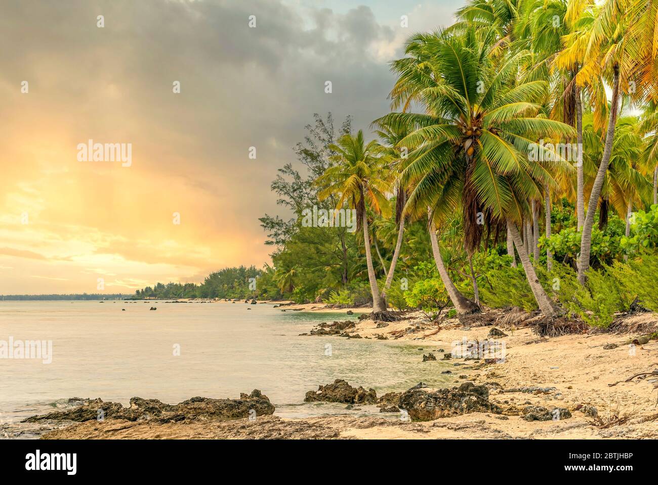 Plage tropicale de palmiers sur l'île de Tuamotu au coucher du soleil, Polynésie française Banque D'Images