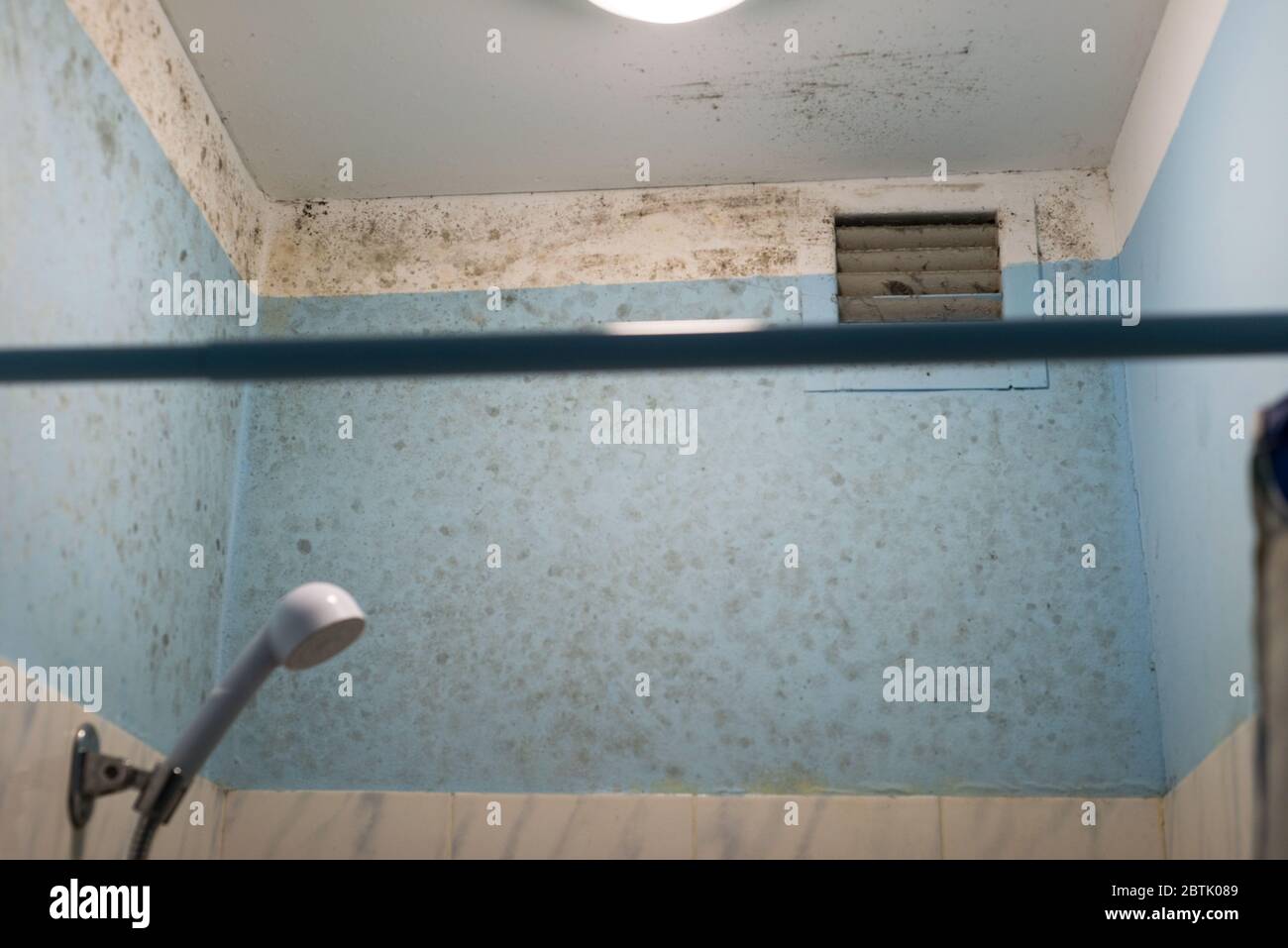 Moisissure noire qui pousse sur les carreaux de douche dans la salle de bains moisissure verte