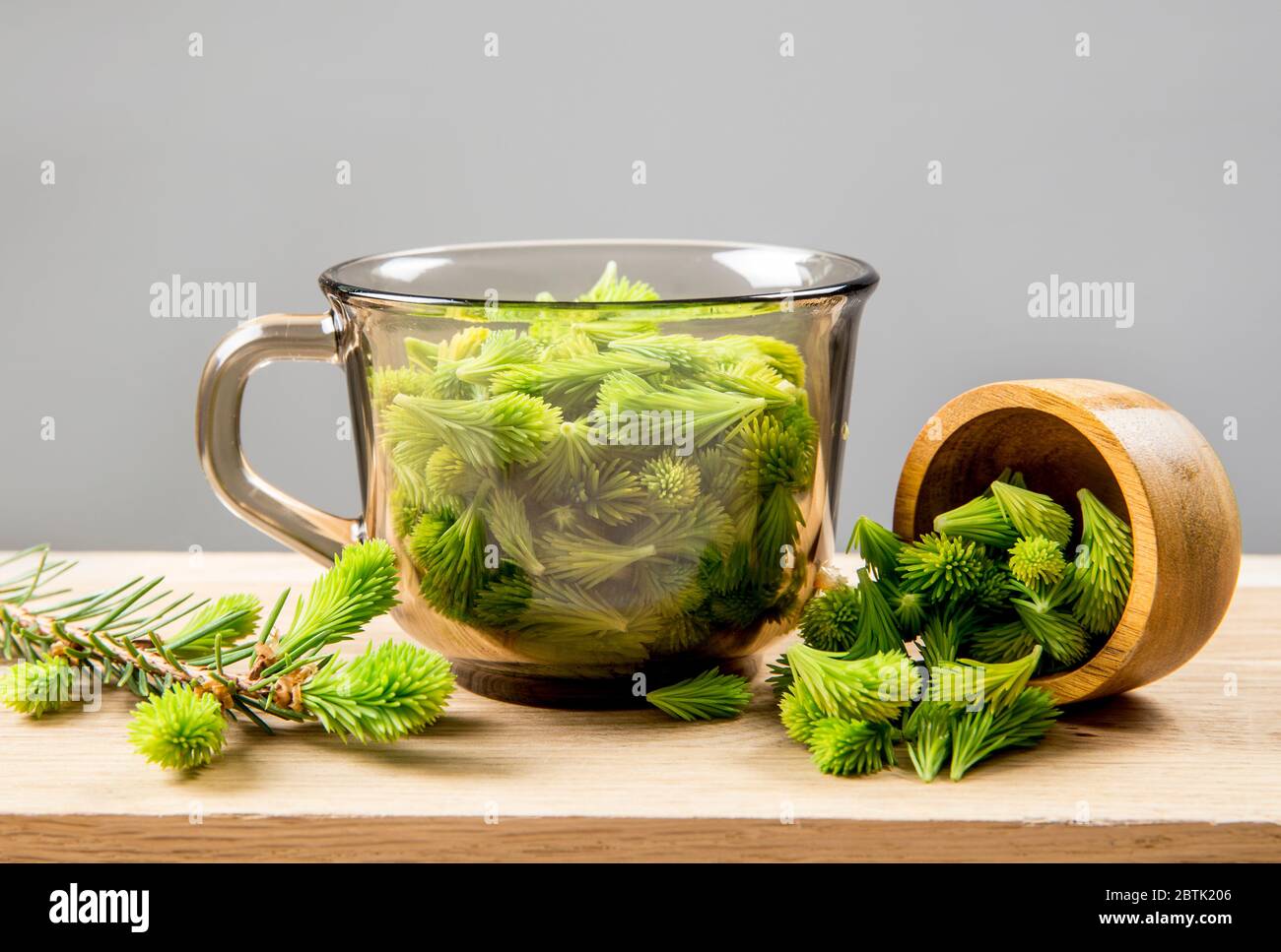 Image conceptuelle de l'utilisation de jeunes pousses d'épinette fraîche (Picea abies) pour la nourriture et la boisson. Tasse en verre transparent pleine de pousses d'épinette vertes. Alternati Banque D'Images