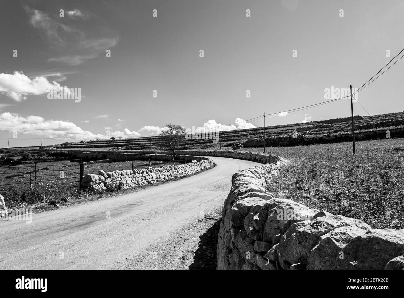 Paysage rural de la campagne du sud-est de la Sicile en pleine source, murs de pierre sèche, oliviers et caroubiers et balles de foin. Banque D'Images