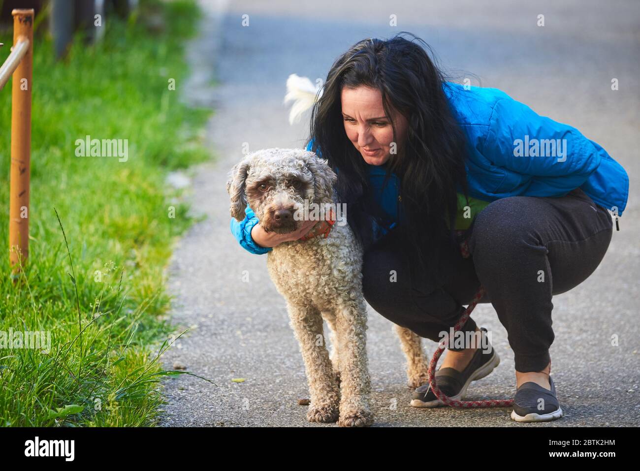 Femme qui garde son chien (Lagotto romagolo Photo Stock - Alamy