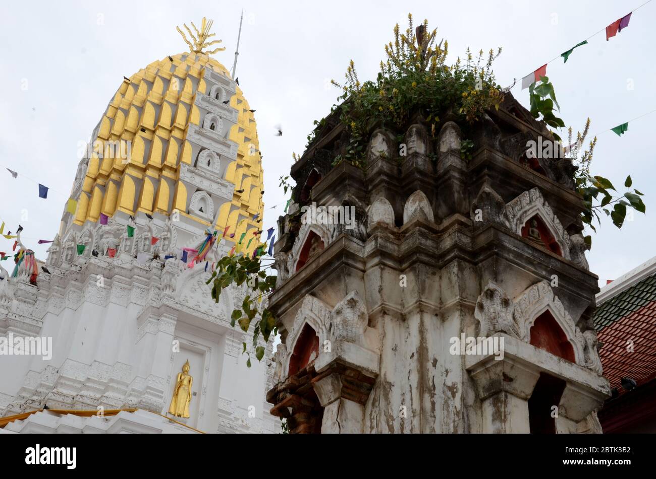 Niewer et prang ancien au Wat Phra si Ratana Mahathe à Phitsanulok Banque D'Images