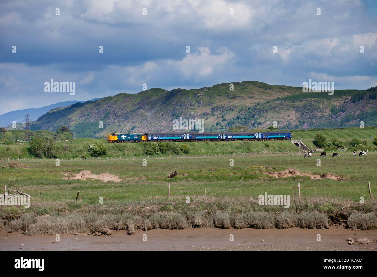 La locomotive de classe 37 de Direct Rail Services 37401 en grand logo bleu passe à la campagne à Drigg sur la pittoresque ligne de chemin de fer de la côte de Cumbrian Banque D'Images