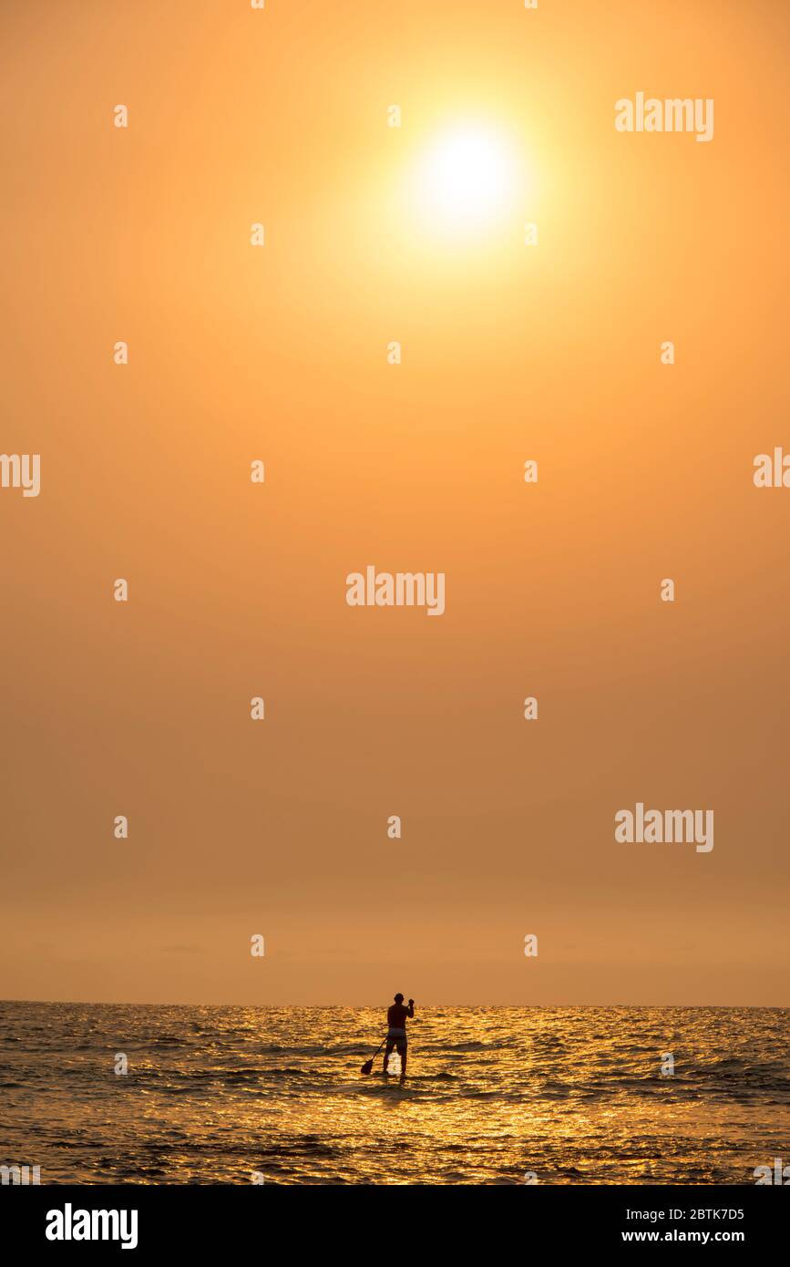 Homme pagayant surf ski Killalea au lever du soleil NSW Australie Banque D'Images