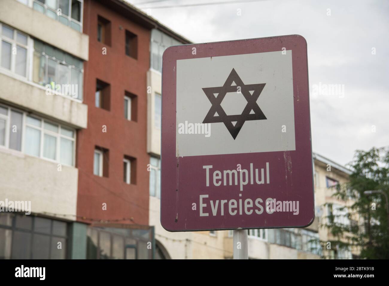 'Templul Evriesc', en roumain : Temple juif, un panneau dans les rues de Radauti, Roumanie Banque D'Images