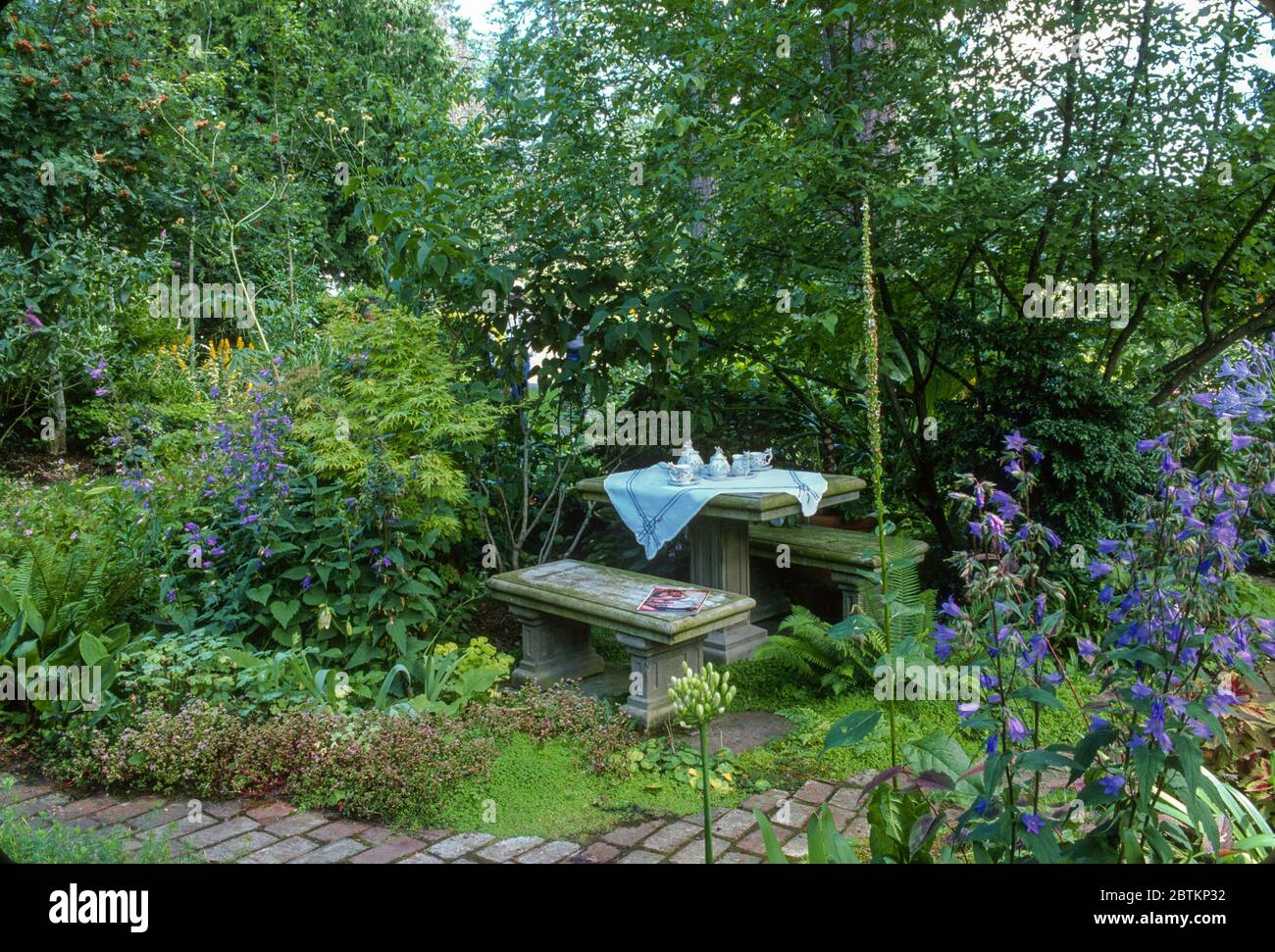 Table dans les bois Banque D'Images