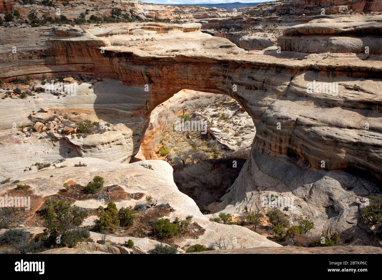 UT00643-00...UTAH - Sipapu Bridge, deuxième plus grand pont au monde, situé dans le Monument national des ponts naturels. Banque D'Images