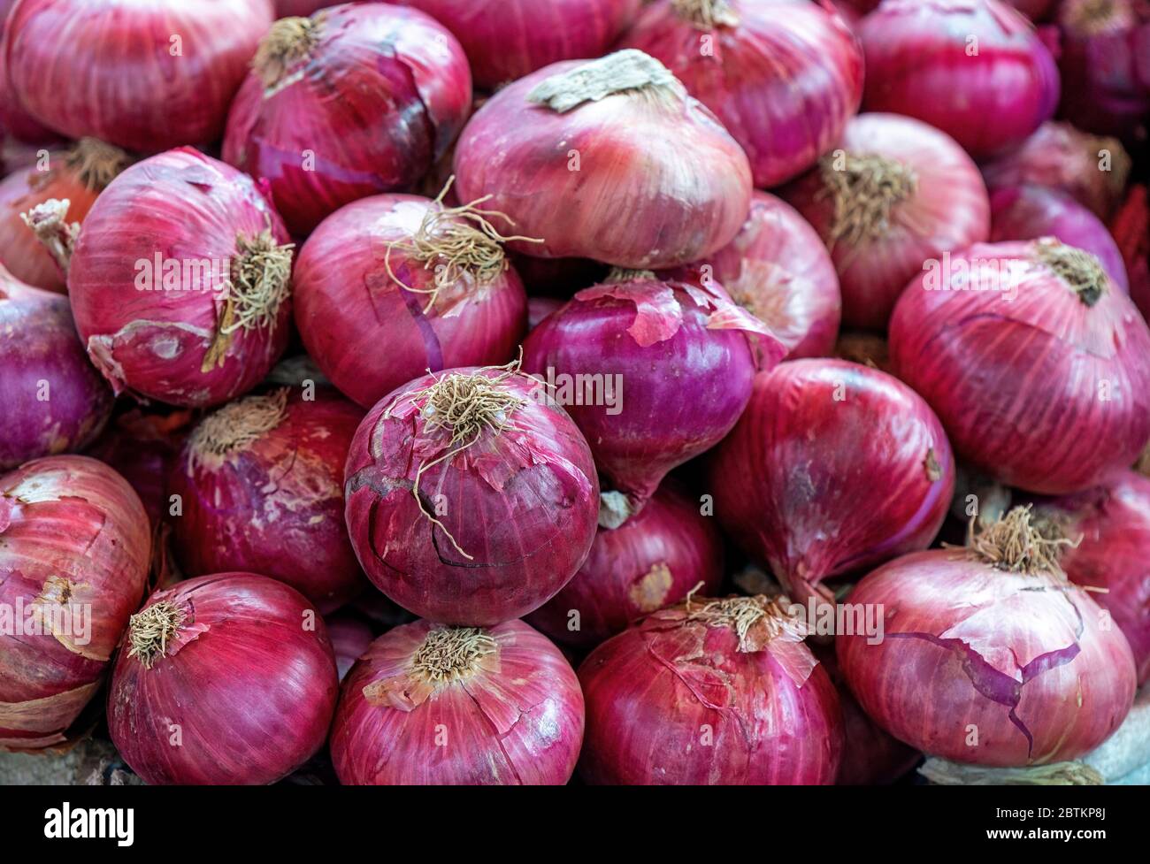 Une pile d'oignons rouges (Allium cesp) sur un marché végétal local à Arequipa, au Pérou. Banque D'Images