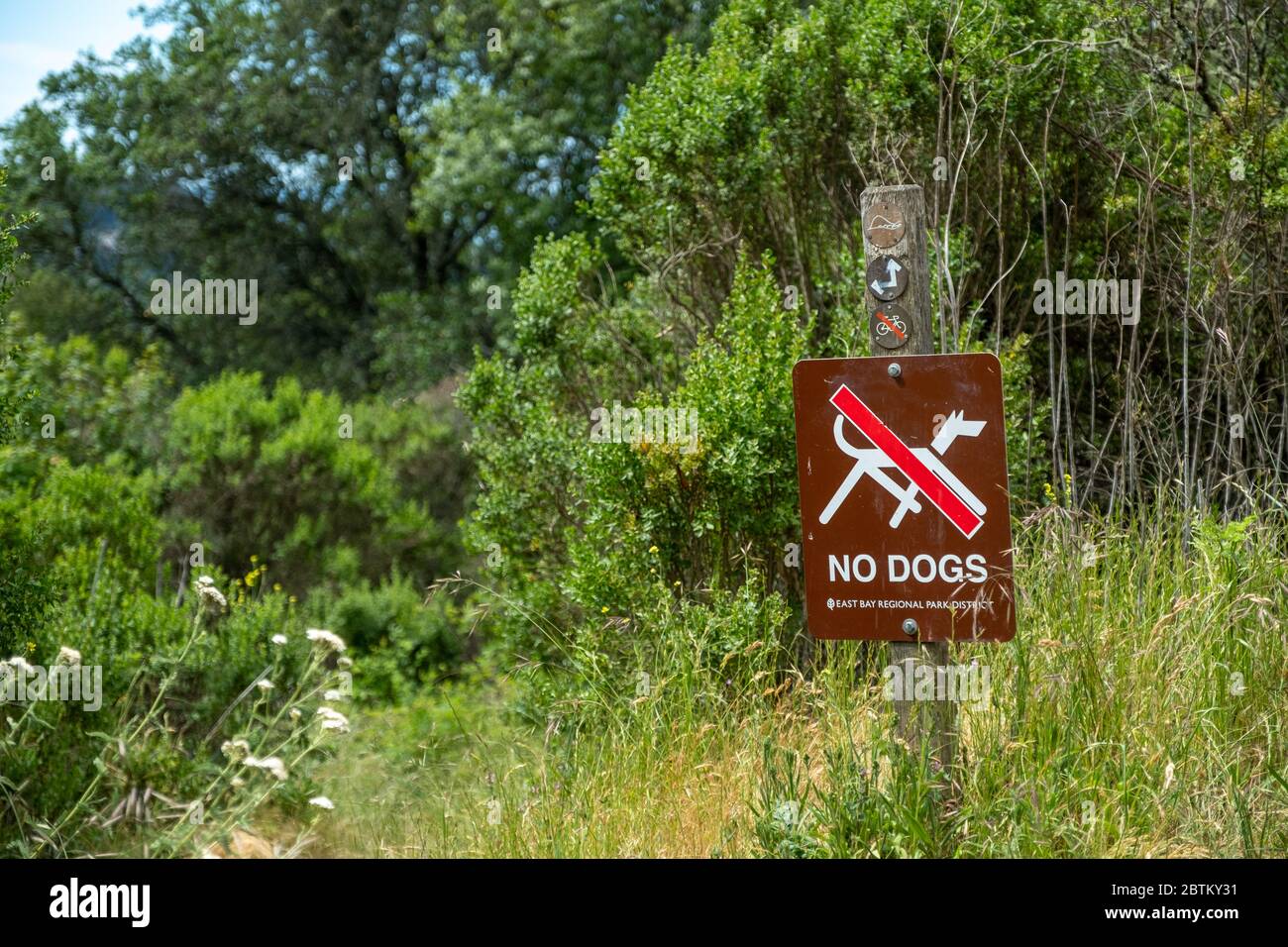 Pas de chiens sur le sentier, signalisation, restrictions sur les sentiers - Précautions pour la randonnée pédestre - Oakland, CA, 16 mai 2020 Banque D'Images